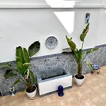 La Esencia De Angela Apartmán Córdoba